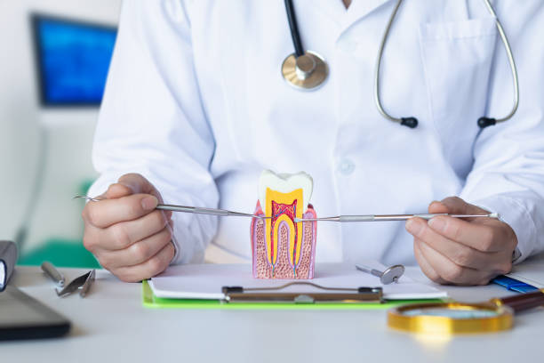 Best Emergency Root Canal Treatment in Highland, KS